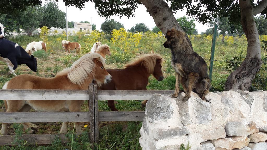 Masseria Boscorotondo Scicli Bagian luar foto